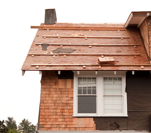 Best Storm Damage Siding Repair  in Phillipsburg, GA